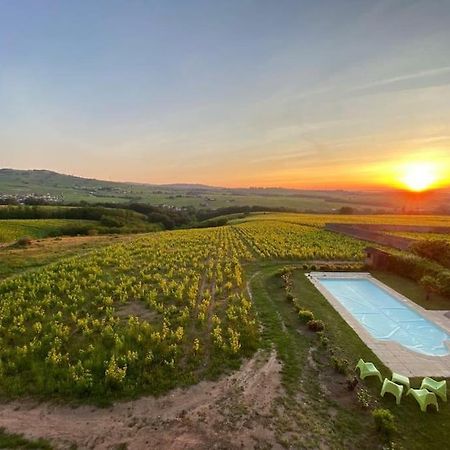 Ferienwohnung Au Coeur Des Vignes Moulin A Vent La Chapelle-de-Guinchay Exterior foto