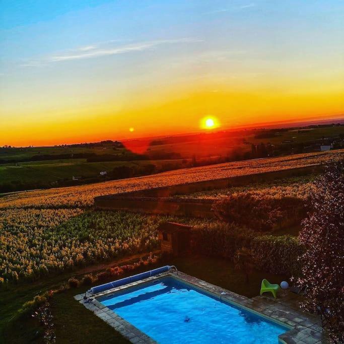Ferienwohnung Au Coeur Des Vignes Moulin A Vent La Chapelle-de-Guinchay Exterior foto