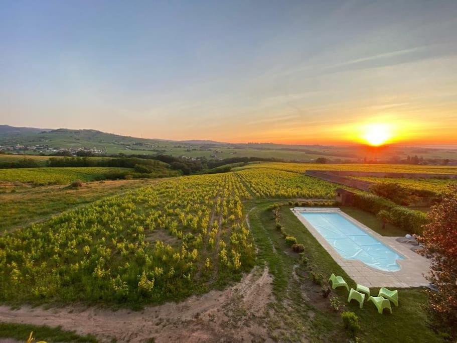 Ferienwohnung Au Coeur Des Vignes Moulin A Vent La Chapelle-de-Guinchay Exterior foto
