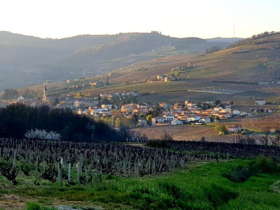 Ferienwohnung Au Coeur Des Vignes Moulin A Vent La Chapelle-de-Guinchay Exterior foto